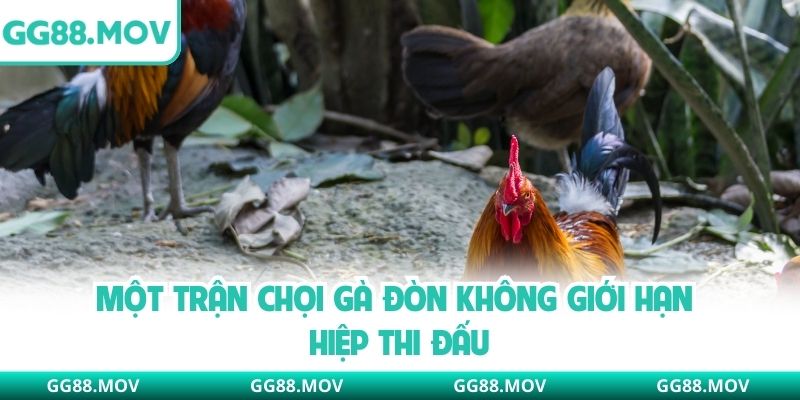 Một trận chọi gà đòn không giới hạn hiệp thi đấu